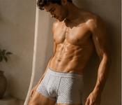 Men's Cotton Jersey Boxer Briefs, Grey Print, 2-Pack image