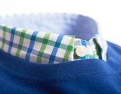 Mens Oxford Cotton Long Sleeve Check Shirt (2284 Mushy Pea) green blue white - by Vedoneire of Ireland
