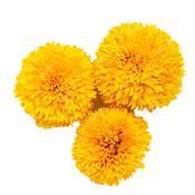 Marigold Flower - 250G image