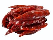 SPICFY SANAM CHILLI STEMLESS 200G