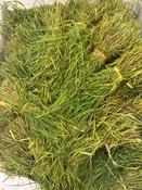 ARUGAM PUL GRASS GANESHA BUNCH