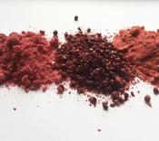 Freeze Dried Fruit Powders &amp;amp; Pieces