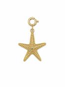 CHARM 6 | Golden Starfish image