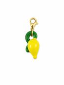 CHARM 30 | Zesty Lemon Charm