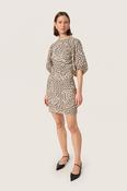 Zazu Dolore Printed Dress