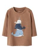 Fakir Top