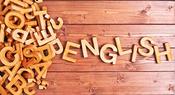 €9. Was €395. Diploma in English For Beginners