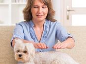 €29 Animal Reiki Diploma Course