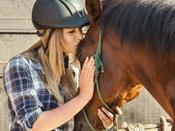 €29 Horse Care &amp; Management Diploma Course