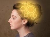 €29 Dialectical Behaviour Therapy (DBT) Diploma Course