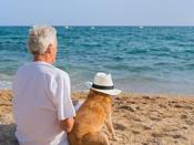 €29 Pet Bereavement Counsellor Diploma Course