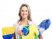 €29 Cleaning Business Diploma Course