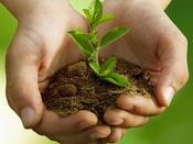 €29 Gardening and Landscape Design Business Diploma Course