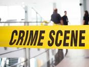 $,£,€29 Criminal Psychologist Course