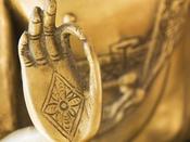 €29 Ayurveda Diploma Course