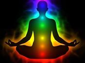 €29 Energy Anatomy Diploma Course