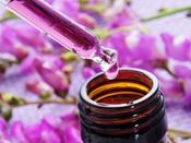 €29 Flower and Vibrational Essences Practitioner Course