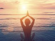 €29 Holistic Health Practitioner Course