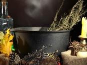 €29 Magical Herbalism Diploma Course image