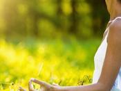 €29 Meditation Diploma Course image