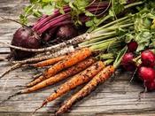 €29 Organic Gardening Diploma Course