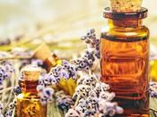 €29 Bach Flower Remedies Diploma Course