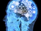 €29 Neuropsychology Diploma Course