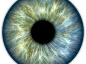 $,€,£29 Iridology Diploma Course