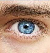 €29 EMDR Therapy Diploma Course Online