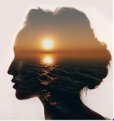 €29 Introduction to Stoicism Diploma Course Online