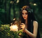 €29 Fairies and Fairy Magic Diploma Course Online