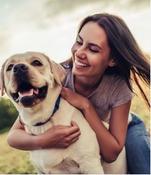 €29 Canine First Aid Diploma Course Online