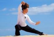 €29 Tai Chi Diploma Course Online