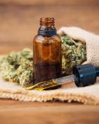 €29 Medicinal Cannabis &amp; CBD Oil Diploma Course Online