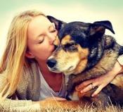 €29 Animal Welfare Diploma Course Online