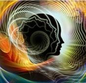 €29 Improve Your Memory Diploma Course Online
