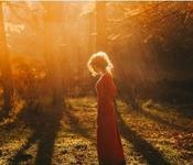 €29 Hedgewitchery Diploma Course Online