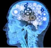€29 Neuropsychology Diploma Course Online
