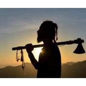 €29 Introduction to the Vikings Diploma...