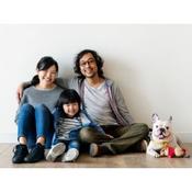 €10 Dog Socialization and Obedience Online...