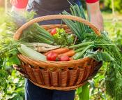 €29 Homesteading Diploma Course Online