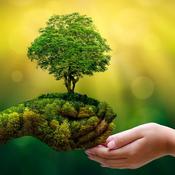 €29 Conservation Diploma Course Online