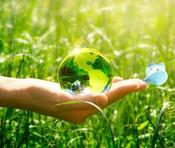 €29 Biology Diploma Course Online