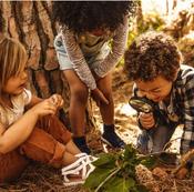 €29 Forest Schooling Diploma Course Online
