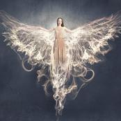€29 Earth Angels Diploma Course Online
