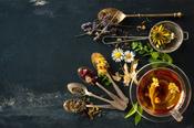 $/£/€19 Naturopathy Diploma: Health &amp; Wellbeing