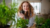 $,€,£8 Master Herbalist Course