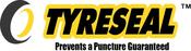 €49 Tyre Seal Solution X 4 Tyres. Was €90. image