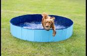 Flamingo Splatter Round Dog Paddling Pool – Blue