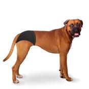 Duvo+ Dog Pants 32-39cm image